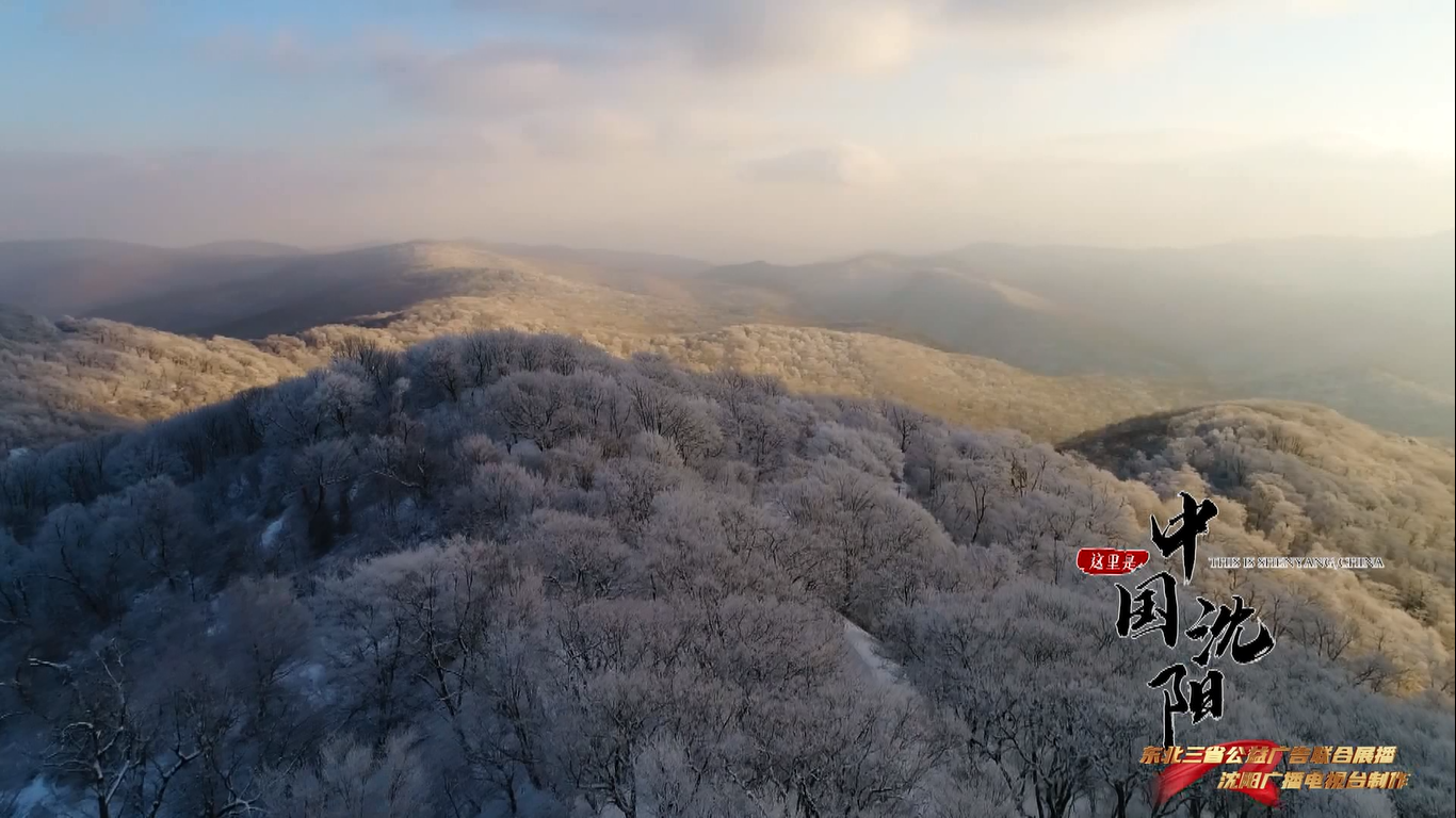 《中国沈阳-冰雪之约》.png